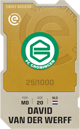 David van der Werff - limited